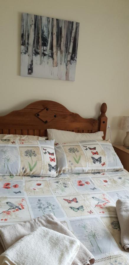Villa Comfy Quiet Town House à Strabane Extérieur photo